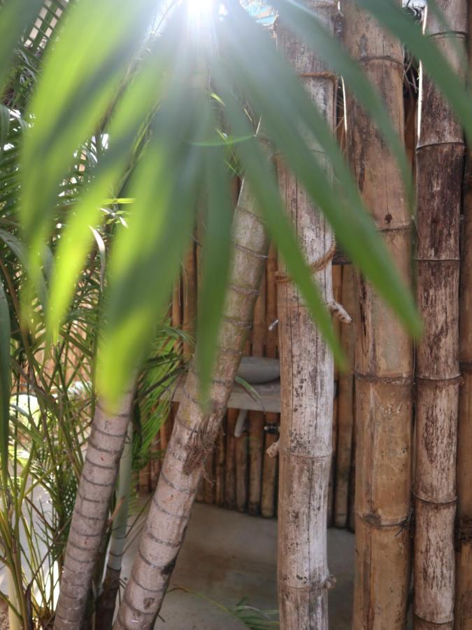 Steffi'S Mandala Hotel Хикадува Екстериор снимка
